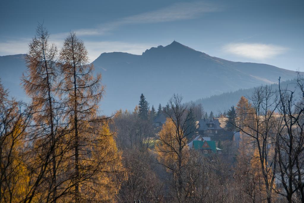 Willa Gardenia Zakopane Habitación foto